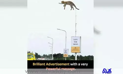 చీతా.. ఏమిటీ చేత!