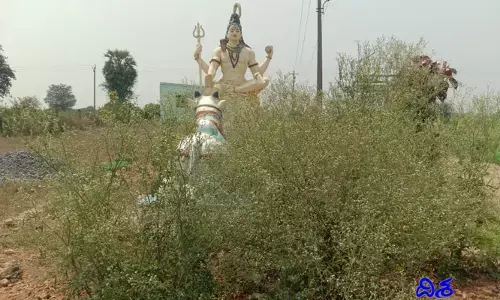 పేరుకే ఉత్తమ గ్రామపంచాయతీ.. వెలవెలబోతున్న పారిశుద్ధ్యం..