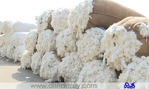 బ్రేకింగ్ న్యూస్... మళ్లీ మెరిసిన తెల్లబంగారం