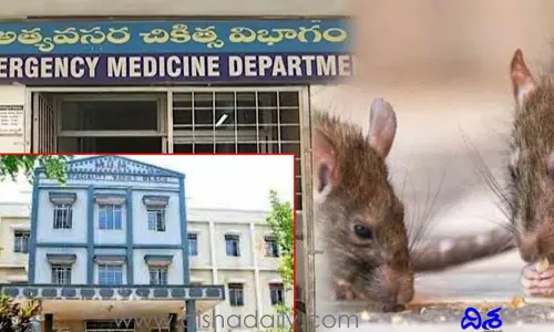 వరంగల్ ఎంజీఎంలో దారుణం.. పేషెంట్‌ను కొరికేసిన ఎలుకలు