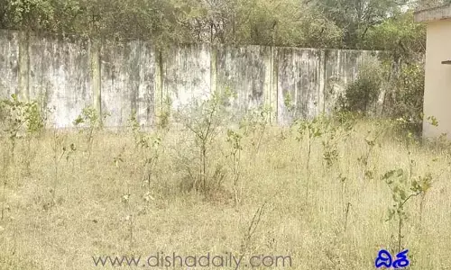 బీటలు వారిన హరితహారం.. సీఎం లక్ష్యం దిశగా పథకం పయనిస్తుందా..?