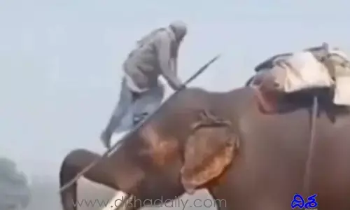 రోడ్డుపైన రియ‌ల్ బాహుబ‌లి, ఇర‌గ‌దీశాడంతే..!! (వీడియో)