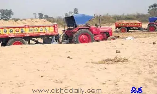 అధికారుల కనుసన్నల్లోనే అటవీ సంపద నాశనం