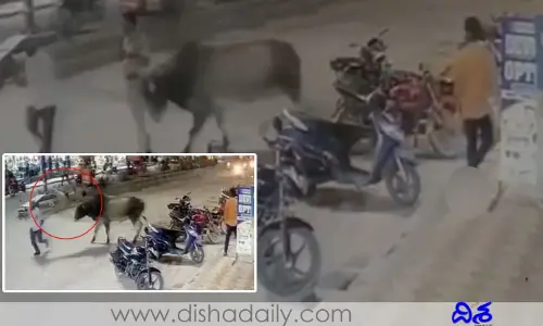 పోలీస్ కానిస్టేబుల్‌పై ఎద్దు దాడి.. వీడియో వైరల్