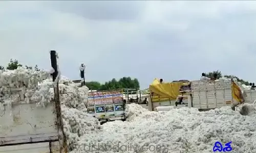 Cotton Price: మురిపిస్తున్న తెల్ల బంగారం.. ఆల్ టైం రికార్డు