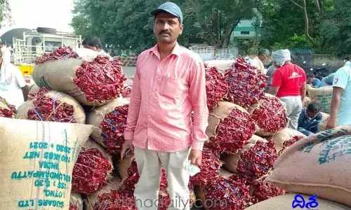 Mirchi Price: మిర్చి అధరహో.. బంగారం రేటును మించిన మిర్చి