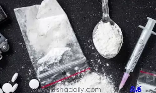 Drugs Case: బర్త్ డే పార్టీ ఎవరిది?  డ్రగ్స్ కేసులో దర్యాప్తు ముమ్మరం