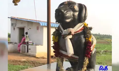 కుక్క కోసం పాలరాతి విగ్రహం.. పిక్స్ వైరల్..