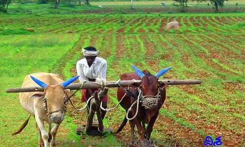 రైతులకు గుడ్ న్యూస్.. ఆ గడువు పెంపు
