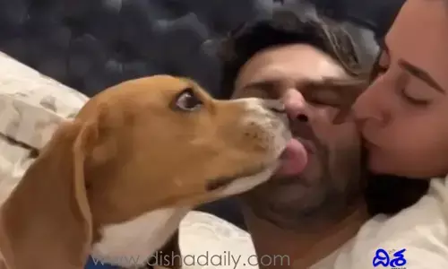 Viral Video: యాక్.. తూ.. కుక్క మూతి నాకిన స్టార్ హీరో
