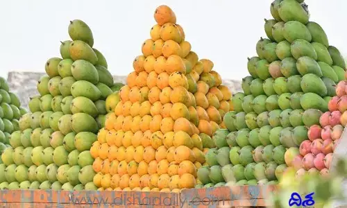 బాయ్‌కాట్ ముస్లిం మామిడి ప‌ళ్లు! క‌ర్నాట‌క‌లో మ‌రో వివాదం