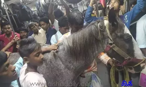 ట్రైన్‌లో గుర్రం ప్ర‌యాణం.. నెట్టింట చూసి షాకైన రైల్వే అధికారులు!