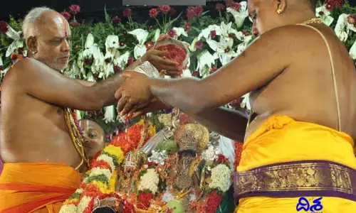 వీటిని రూ. లక్షలు పెట్టి కొనేందుకు కూడా వెనుకాడరు.. అయినా దొరకవు!