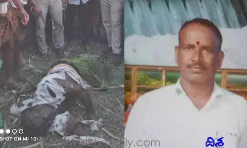 పగబట్టిన దున్నపోతు.. ఆ వ్యక్తిని ఎలా చంపిందంటే..