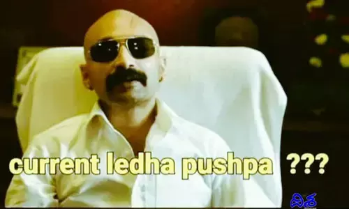 AP News: ఏపీలో కరెంట్ లేదా పుష్ప.. ట్రెండ్ అవుతున్న మీమ్స్