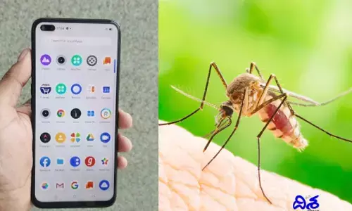 స్టార్ట్ ఫోన్‌తో ఇక డెంగీని గుర్తించండి..!