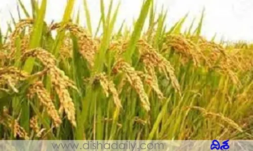 ఈ సీజన్‌లో ఏ రాష్ట్రం నుంచి ఆ రైస్ కొనం: ఎఫ్‌సీఐ రీజినల్ మేనేజర్ దీపక్ శర్మ
