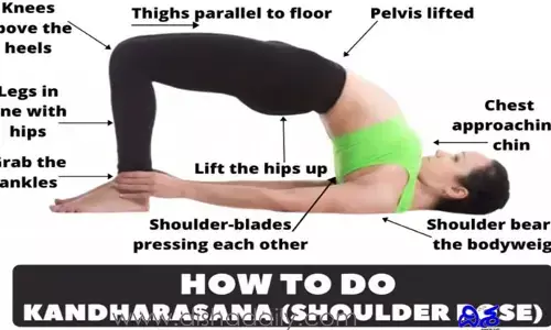 Yoga: వెన్ను నొప్పుల నుంచి ఉపశమనం కలిగించే కంధారాసనం ఎలా చేయాలి?