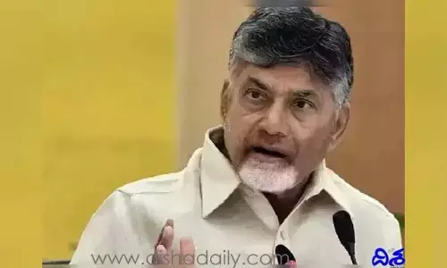 Chandrababu Naidu: పసి బిడ్డలతో మండుటెండలో ఉన్న వారి అవస్థలు కనిపించడం లేదా? చంద్రబాబు ఫైర్..