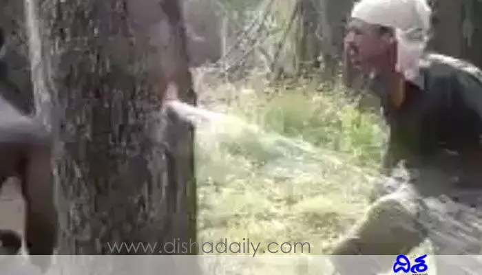 Viral: ఇదేం వింతో.. అక్కడ చెట్టు నుంచి ప్రవాహంలా వస్తున్న నీరు Viral: ఇదేం వింతో.. అక్కడ చెట్టు నుంచి ప్రవాహంలా వస్తున్న నీరు