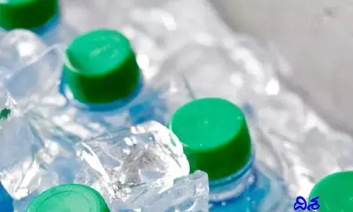 Water Bottle - Heart Disease : ప్రయాణంలో ప్లాస్టిక్ వాటర్ బాటిల్ కొంటున్నారా? ఈ నీరు తాగితే గుండె జబ్బులు ఖాయం