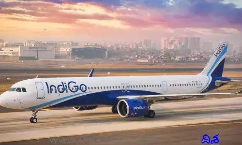 Indigo: స్వతంత్ర నాన్-ఎగ్జిక్యూటివ్ డైరెక్టర్లను నియమించుకున్న ఇండిగో