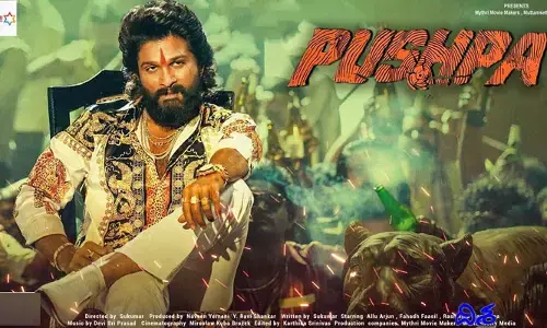 Pushpa 2: ఈ సారి తగ్గేదేలే.. పుష్ప 2లో మరో పవర్ ఫుల్ పోలీస్!