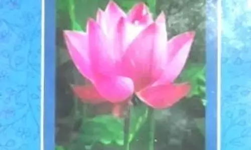 సమీక్ష:అనుభూతుల మేలు కలయిక