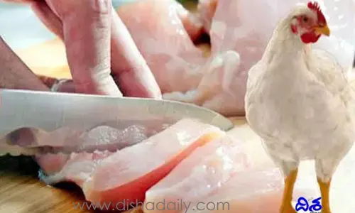 Bird Flu Effect : బర్డ్ ఫ్లూ నేపథ్యంలో చికెన్ మార్కెట్లు బంద్