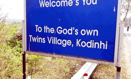 కవలల కథా కమామీషు