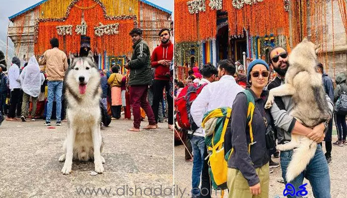కేదార్నాథ్లో కుక్క భక్తి.. కేసు పెట్టిన ఆలయ కమిటీ! కేదార్నాథ్లో కుక్క భక్తి.. కేసు పెట్టిన ఆలయ కమిటీ!