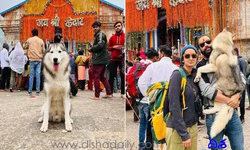 కేదార్‌నాథ్‌లో కుక్క భ‌క్తి.. కేసు పెట్టిన ఆల‌య క‌మిటీ!