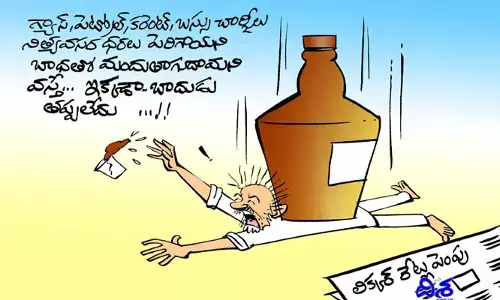 Disha Cartoon: దిశ కార్టూన్(20-05-2022)