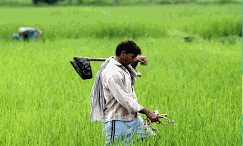 అన్నదాత దశ మారేదెన్నడు?