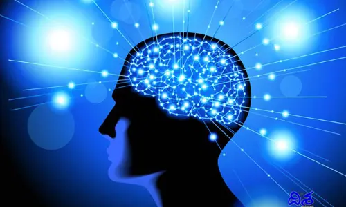 Memory loss-Fat: ఆడవారిలో ఎందుకు ఈ సమస్య అధికమవుతుంది.. అసలు కారణం కనిపెట్టిన శాస్త్రవేత్తలు..?