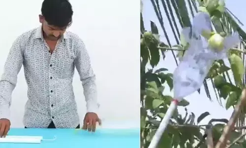 నిమిషంలో వాటర్ బాటిల్‌తో పరికరం తయారీ... దానితో కిందనుంచే జామకాయలు తెంపుకోవొచ్చు
