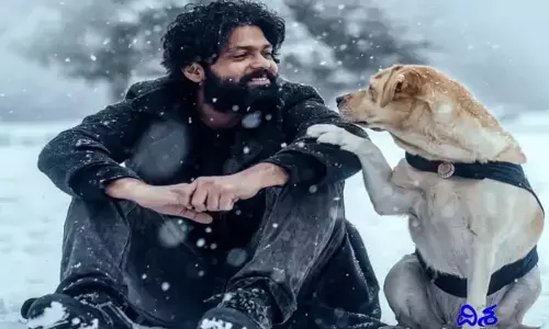 777 చార్లీ ట్విట్టర్ రివ్యూ.. థియేటర్‌లో ప్రేక్షకుల కంటతడి