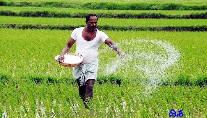 తెలంగాణ ప్రభుత్వం కొత్త ప్రయోగం.. పంట కాలం ముందుకు జరిపే యోచన ! తెలంగాణ ప్రభుత్వం కొత్త ప్రయోగం.. పంట కాలం ముందుకు జరిపే యోచన !