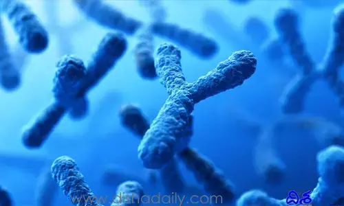 Y Chromosome: భూమిపై అంతరించిపోతున్న పురుషులు..   షాకింగ్ డిటైల్స్ రిలీజ్ చేసిన తాజా అధ్యయనం..