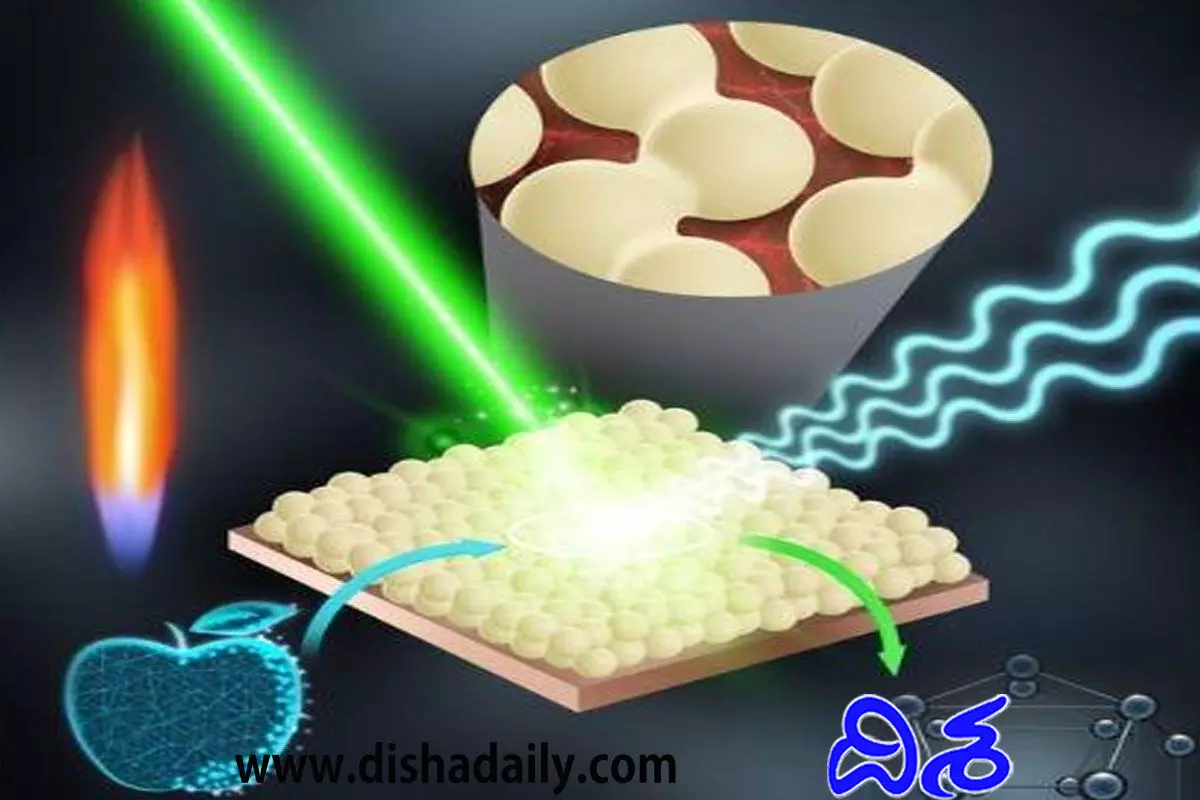 ఫ్రూట్స్పై పెస్టిసైడ్స్ పసిగట్టే నానో సెన్సార్.. క్షణాల్లో రిజల్ట్ ఫ్రూట్స్పై పెస్టిసైడ్స్ పసిగట్టే నానో సెన్సార్.. క్షణాల్లో రిజల్ట్