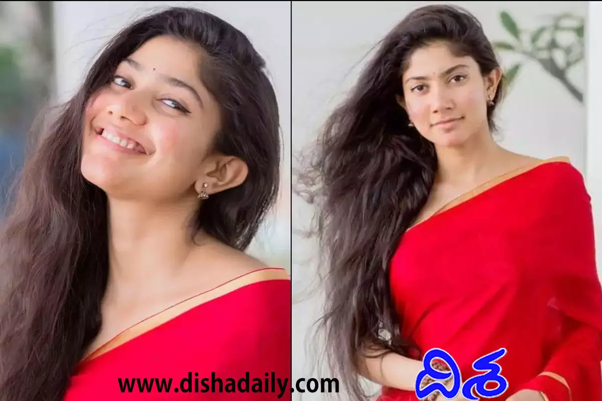 Sai Pallavi Controversy Comments On Kashmir Files And Cow Smuggling
