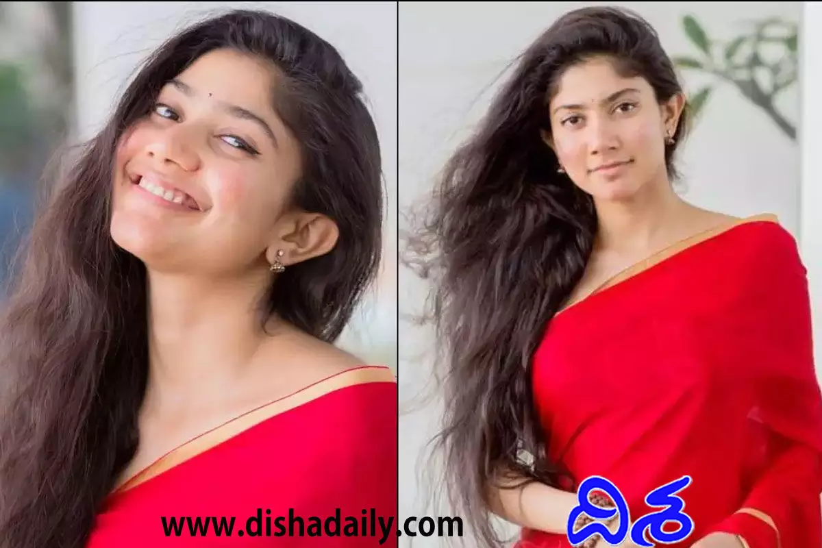Sai Pallavi Controversy Comments On Kashmir Files And Cow Smuggling Sai Pallavi Controversy Comments On Kashmir Files And Cow Smuggling