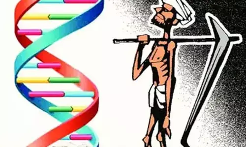 అనాథగా అన్నదాత