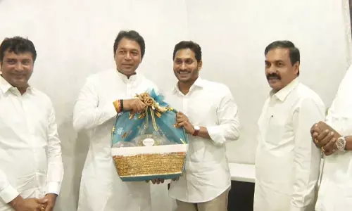 Atmakur MLA Mekapati Vikram Reddy Meets CM Jagan