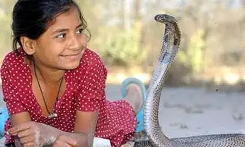 పాములతో సహజీవనం... ఇంటింటికీ ప్రత్యేక బెడ్రూం
