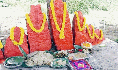 పశువుల పండుగ దాటుడు