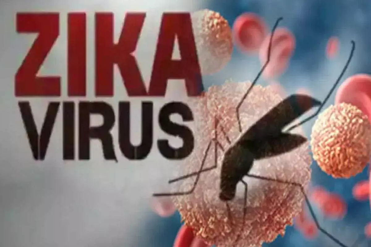 Zika Virus is Said to have Confirmed In Hyderabad Zika Virus is Said to have Confirmed In Hyderabad