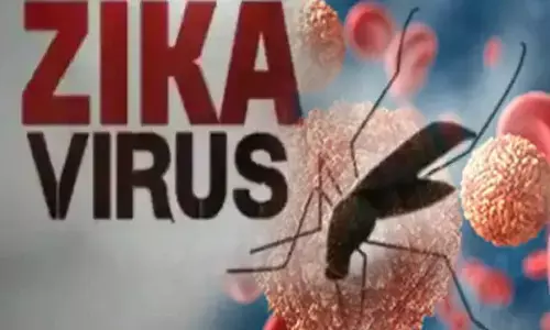 Zika Virus is Said to have Confirmed In Hyderabad