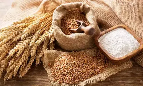 Central Government has Imposed Sanctions On Wheat Flour Exports