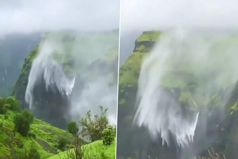 ప్రకృతి అద్భుతం.. గాలిలో తెలుతూ వెనక్కి వెళ్లిన వాటర్ ఫాల్! (వీడియో) ప్రకృతి అద్భుతం.. గాలిలో తెలుతూ వెనక్కి వెళ్లిన వాటర్ ఫాల్! (వీడియో)